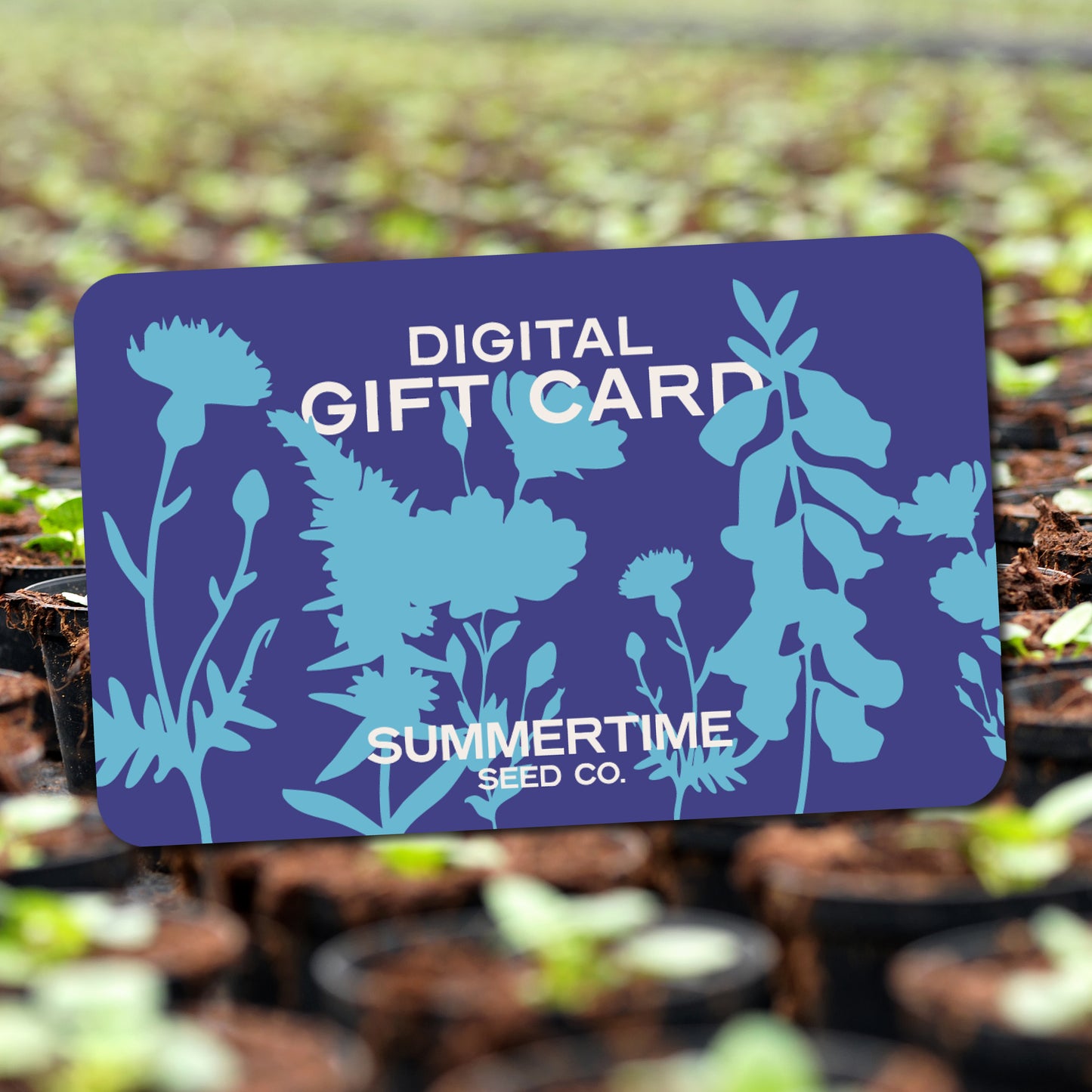 Digital Gift Card
