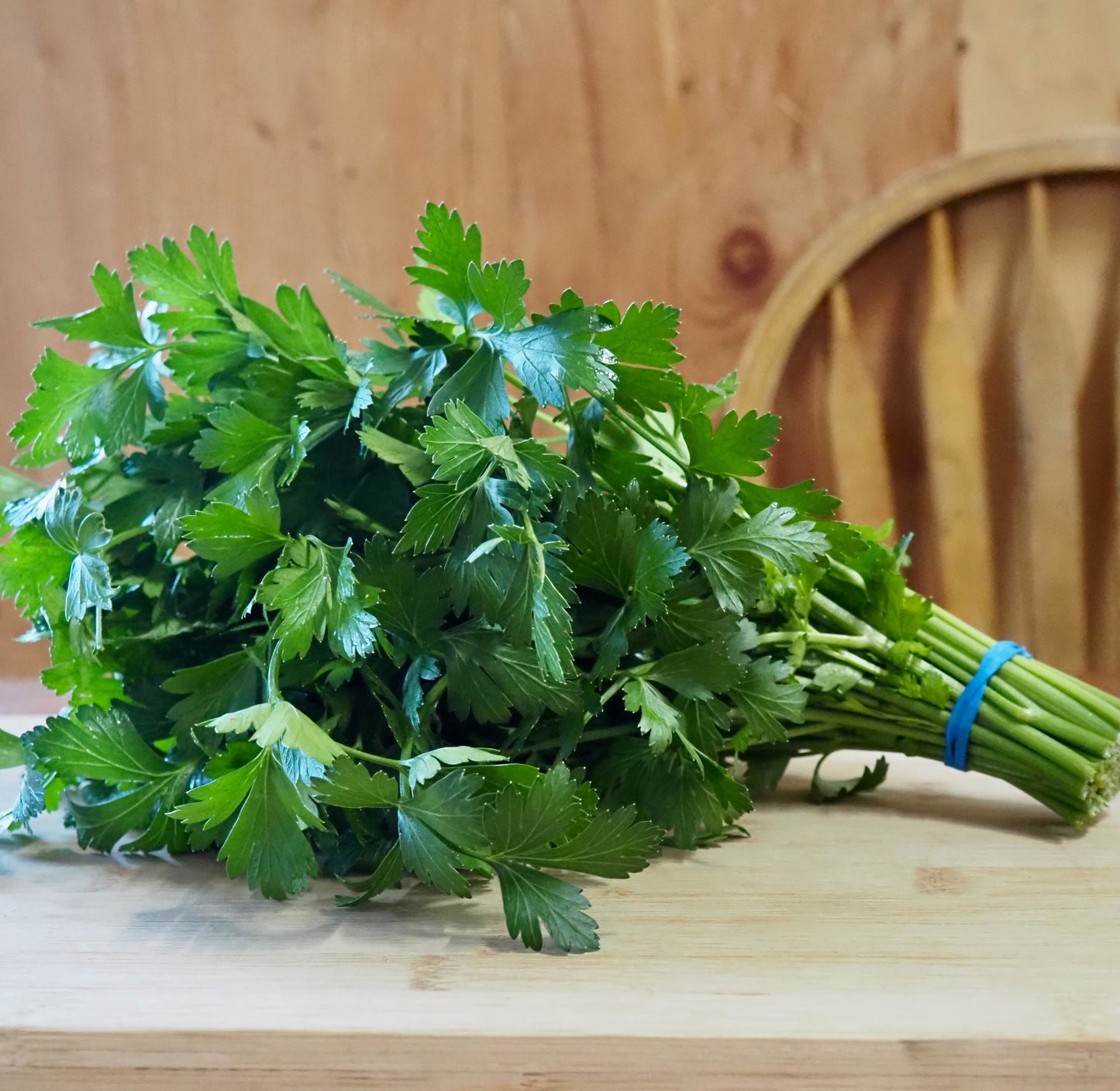 Parsley ⁃ Organic Seed - Giant of Italy