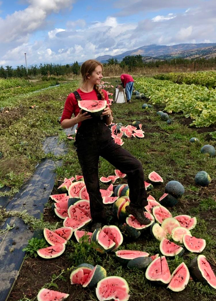 Watermelon - Blacktail Mountain