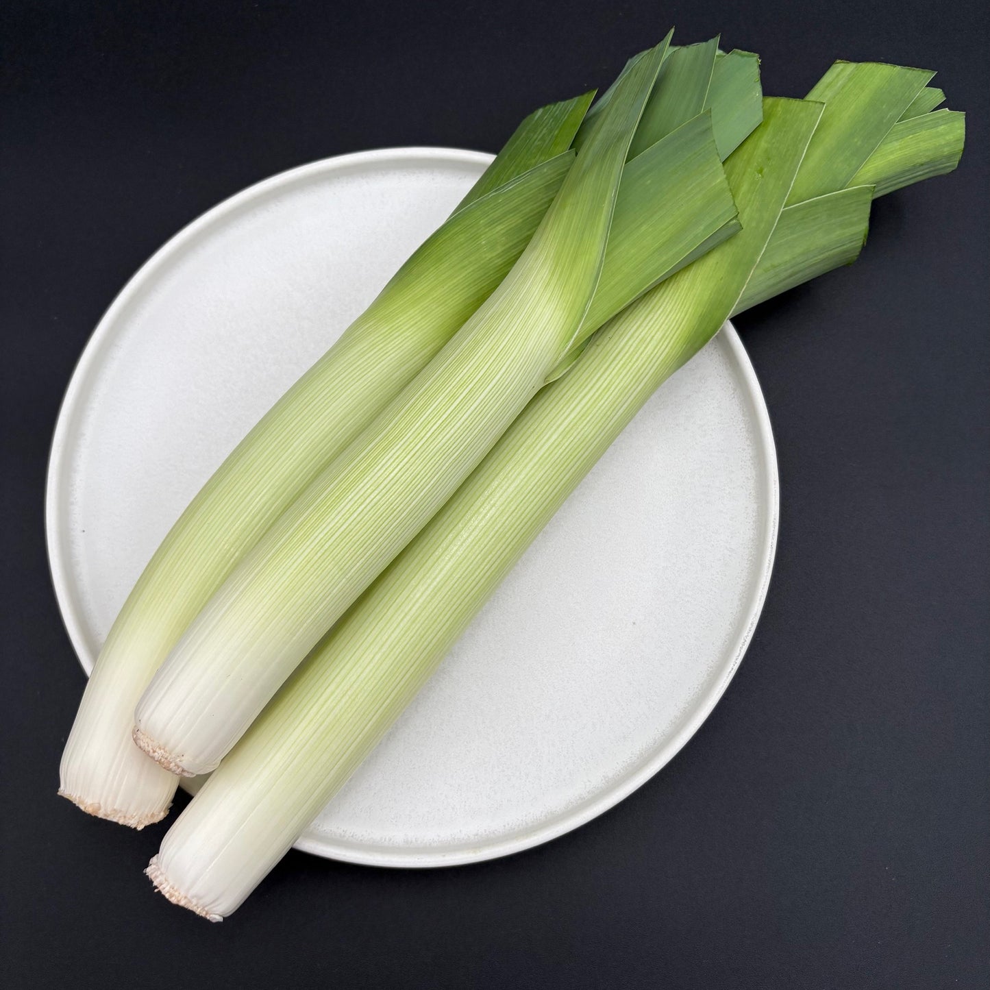 Leek - King Richard