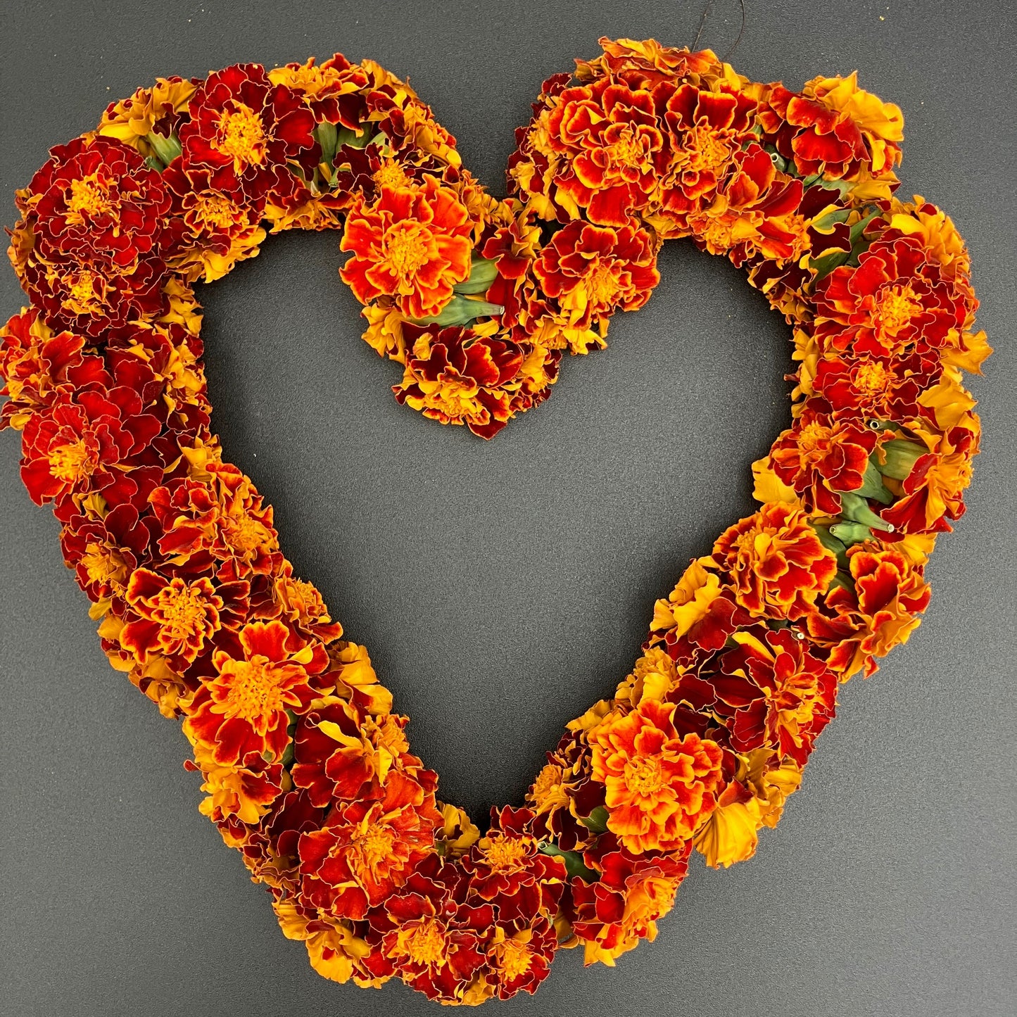Marigold - Queen Sophia