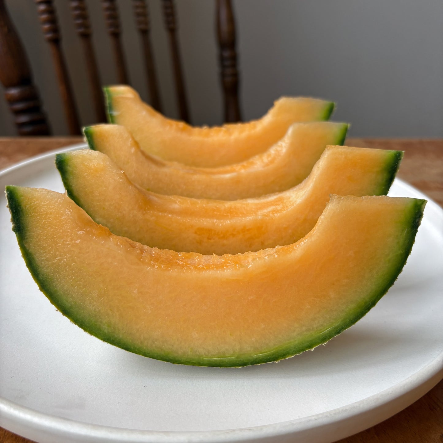 Melon ⁃ Organic Seed - PMR Delicious 51