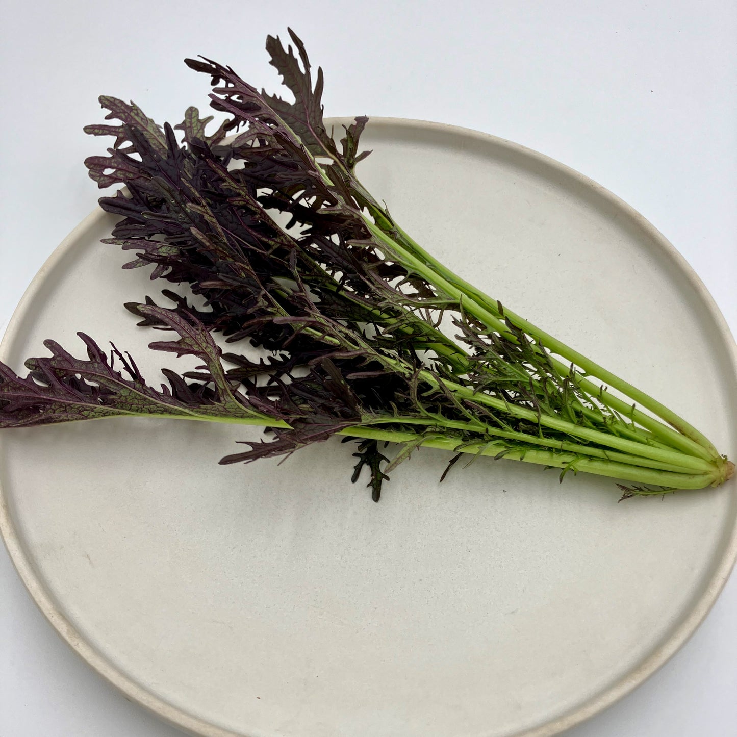 Greens - Ruby Streaks Mustard