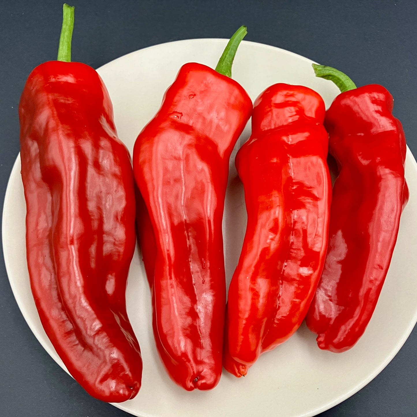 Pepper - Aleppo