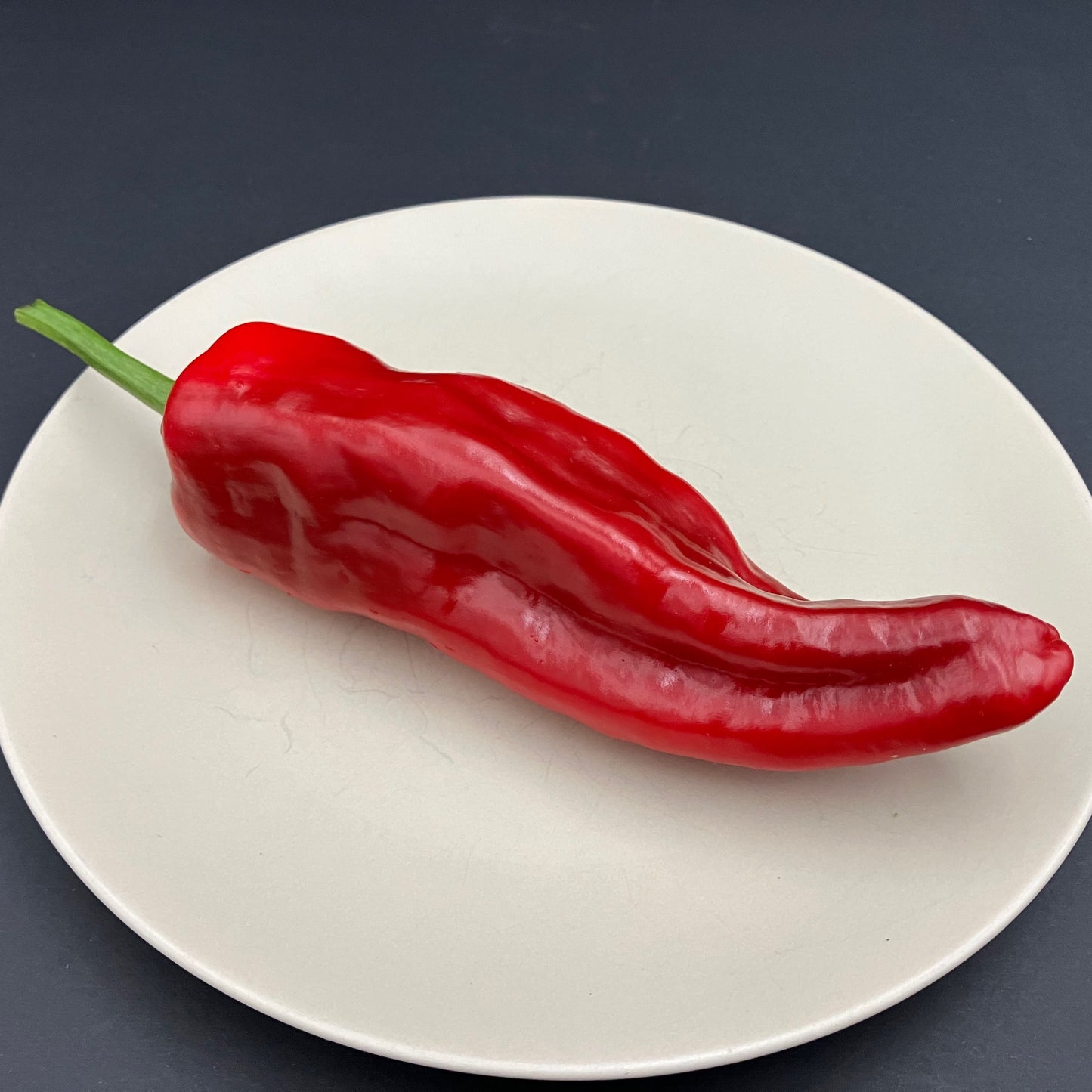 Pepper - Aleppo