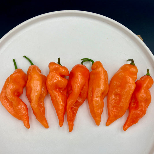 Pepper  - Habanada
