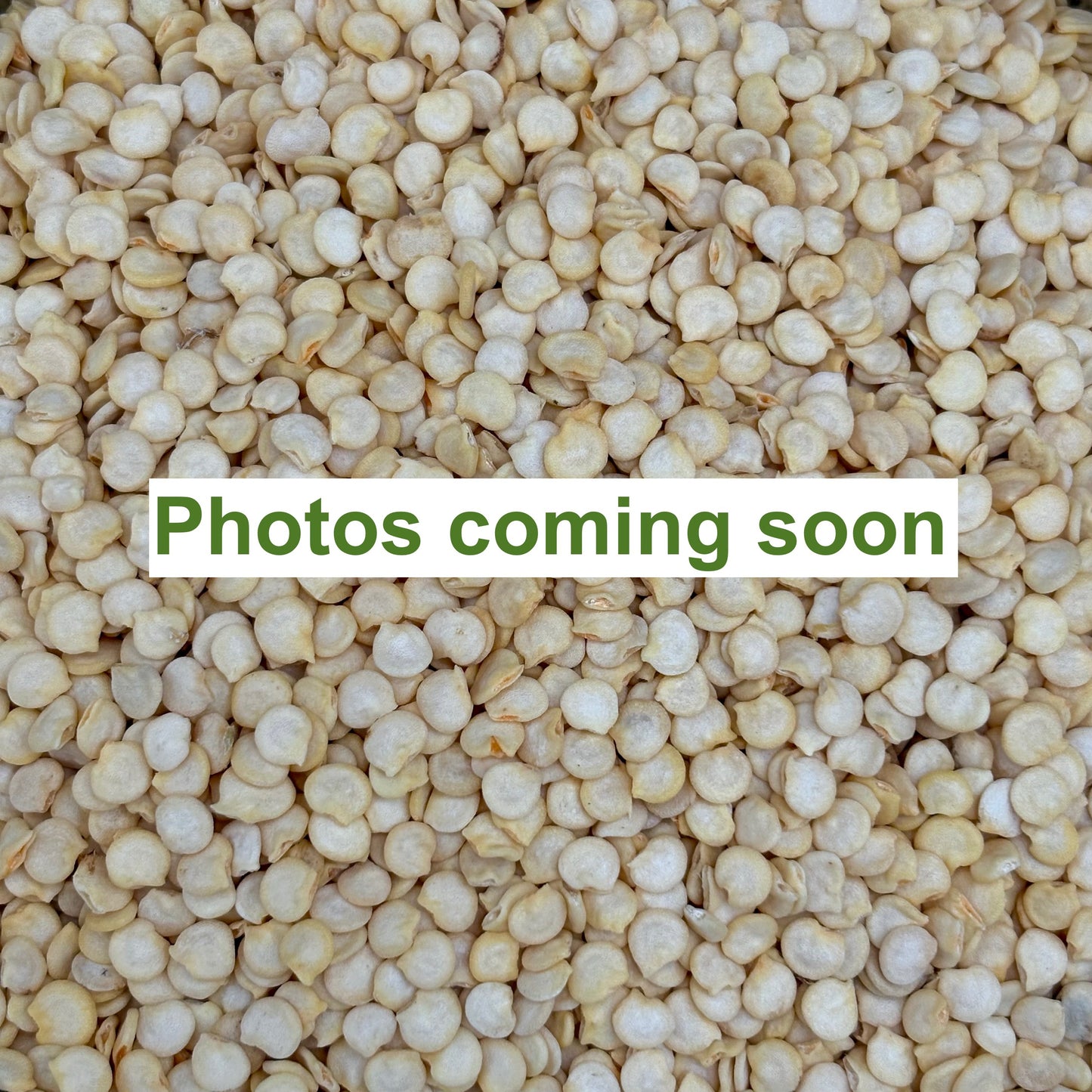 Pepper - Sweet Melrose