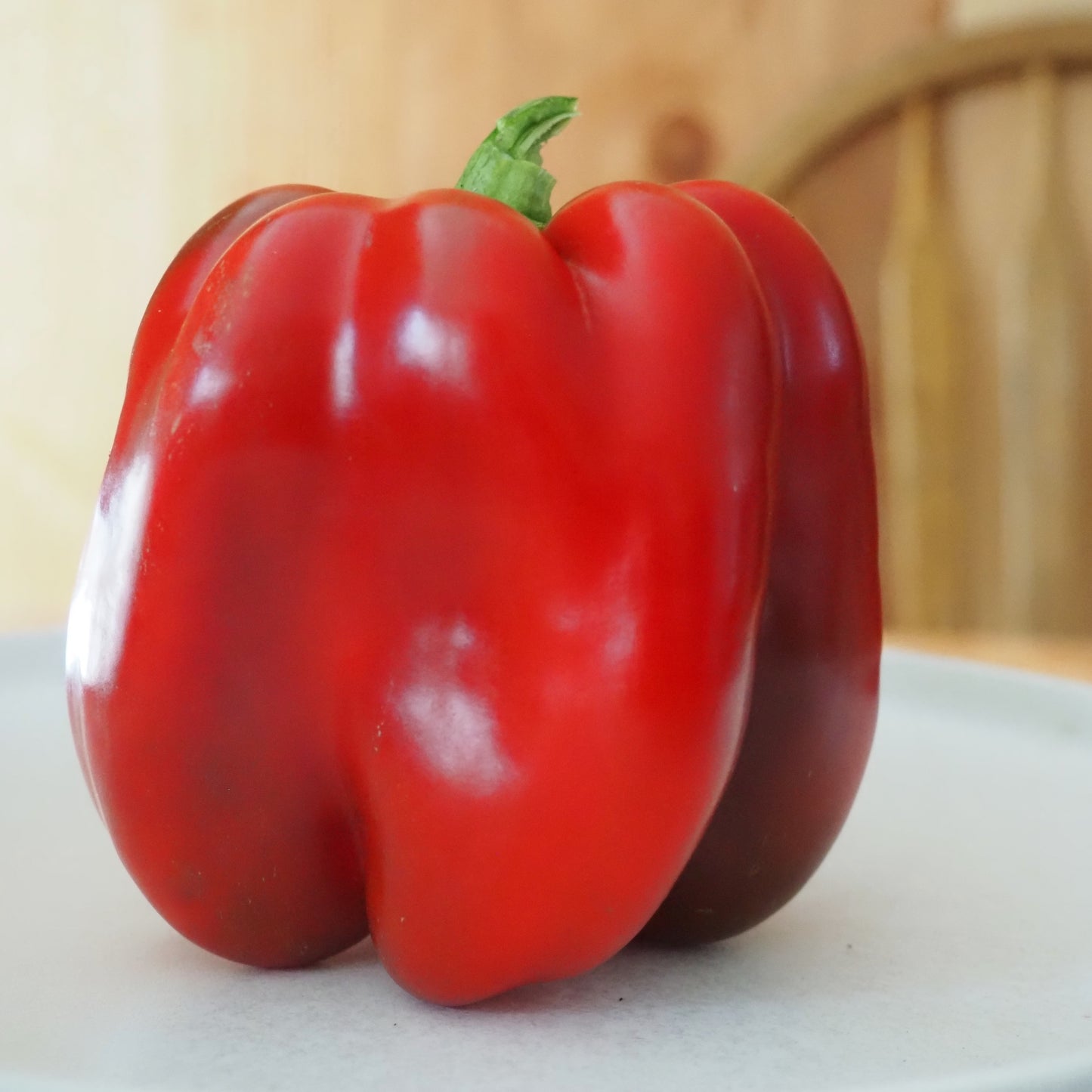 Pepper ⁃ Organic Seed - King of The North