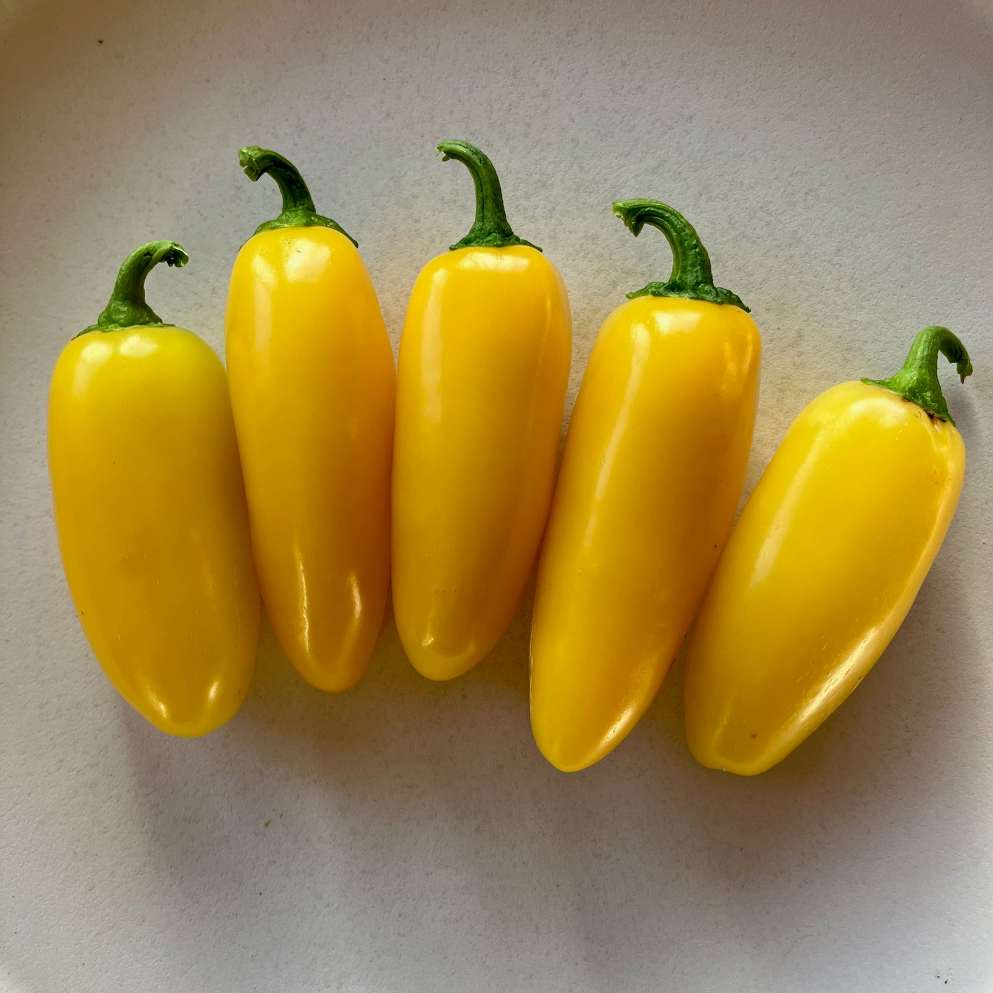 Pepper ⁃ Organic Seed - Lemon Spice Jalapeño