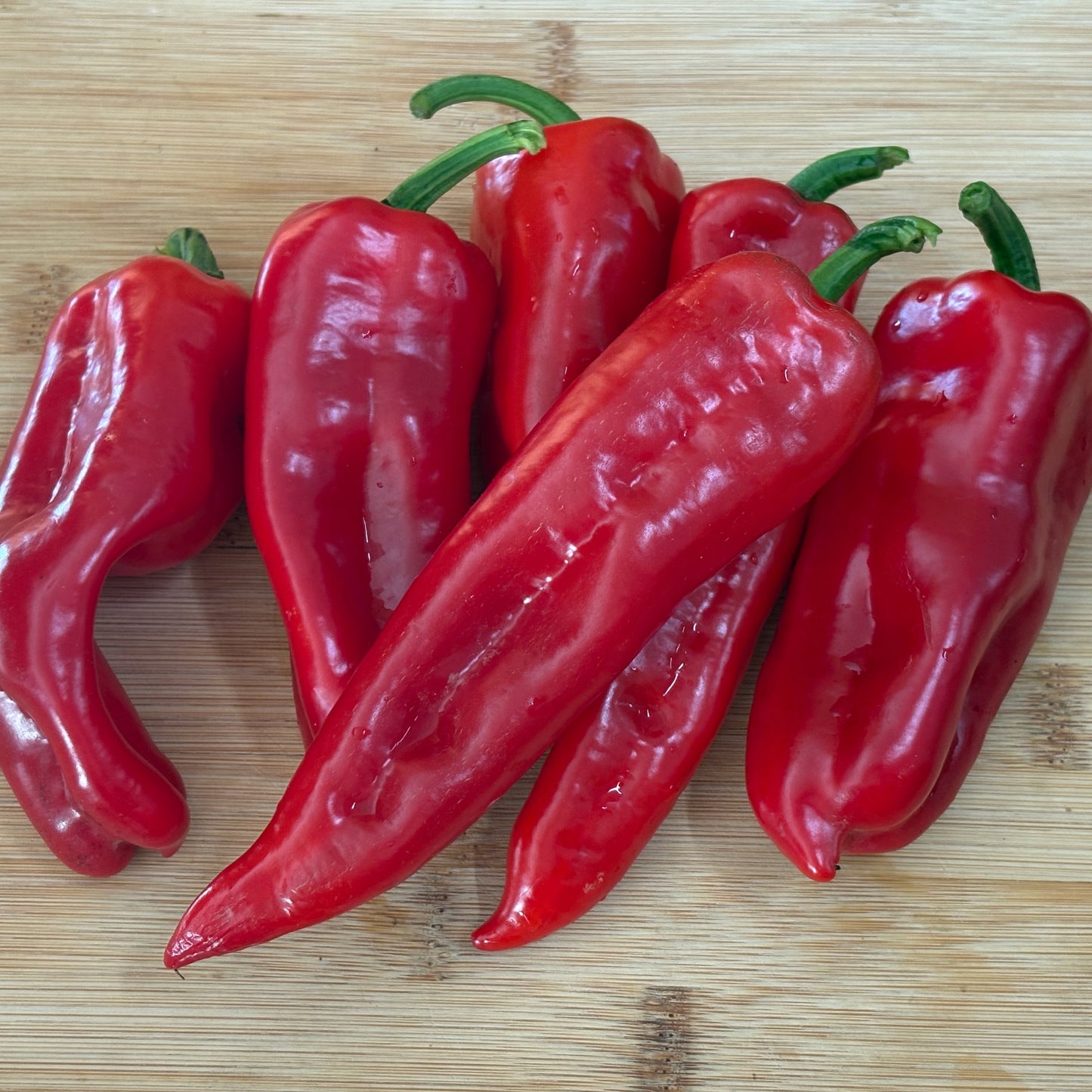 Pepper ⁃ Organic Seed - Tolli's Sweet Italian