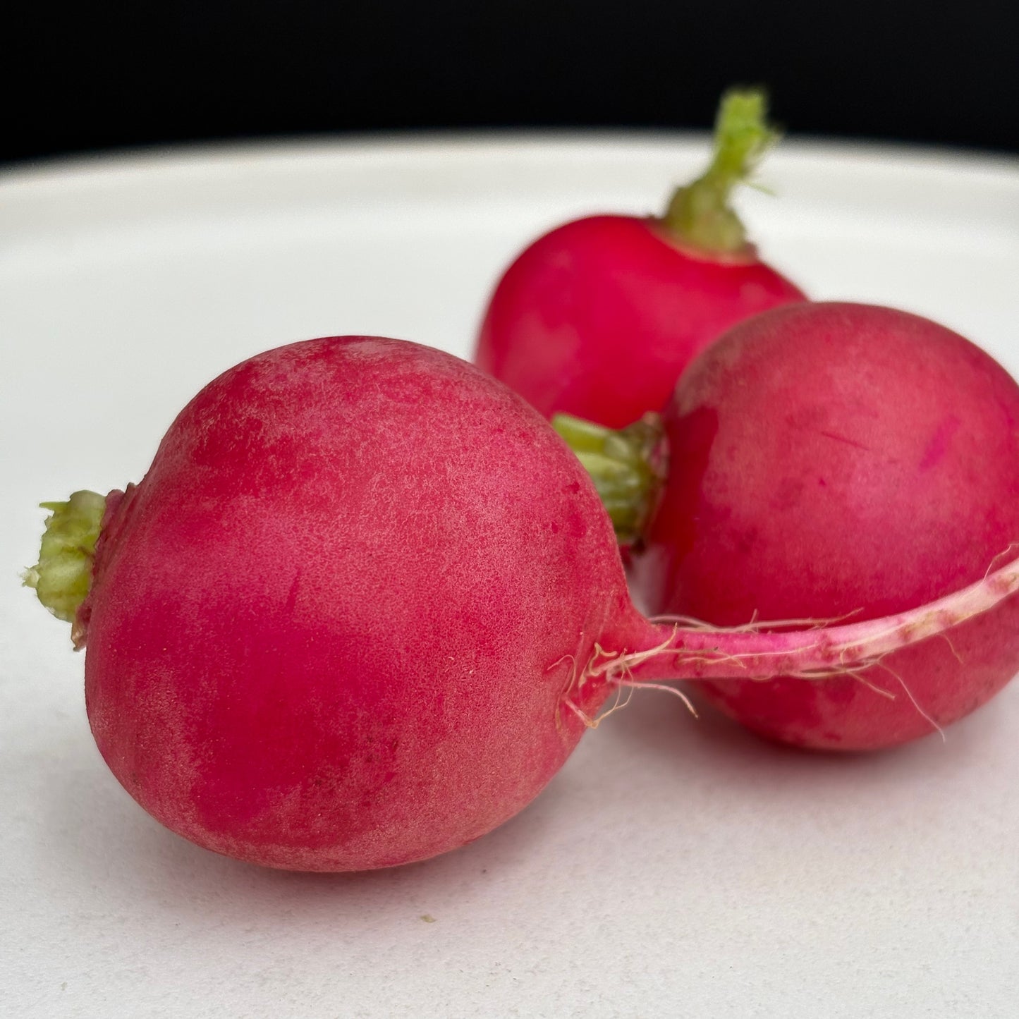 Radish - Sora
