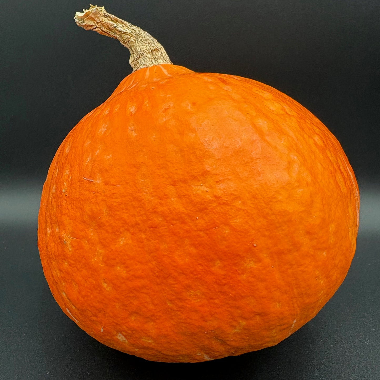 Squash, Winter - Red Kuri