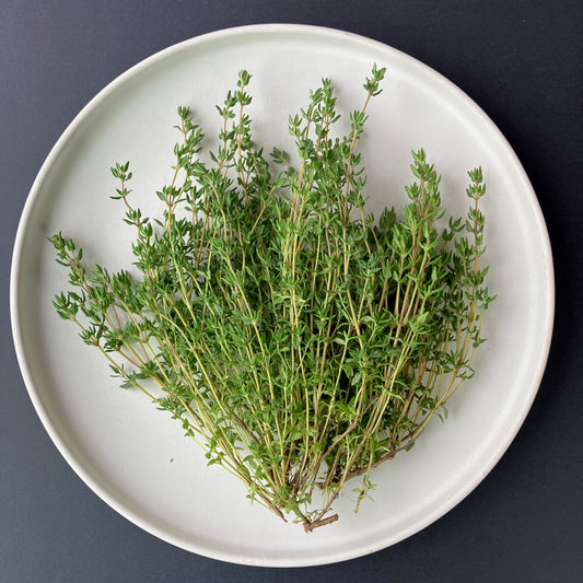 Thyme - German Winter
