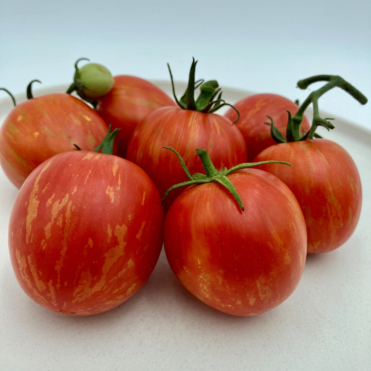 Tomato - Burton's-Baby Oxheart