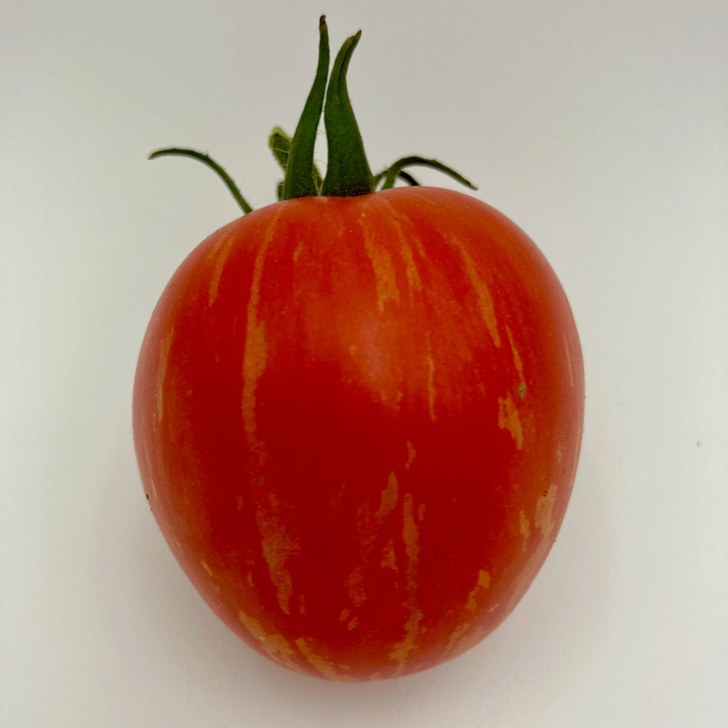 Tomato - Burton's-Baby Oxheart