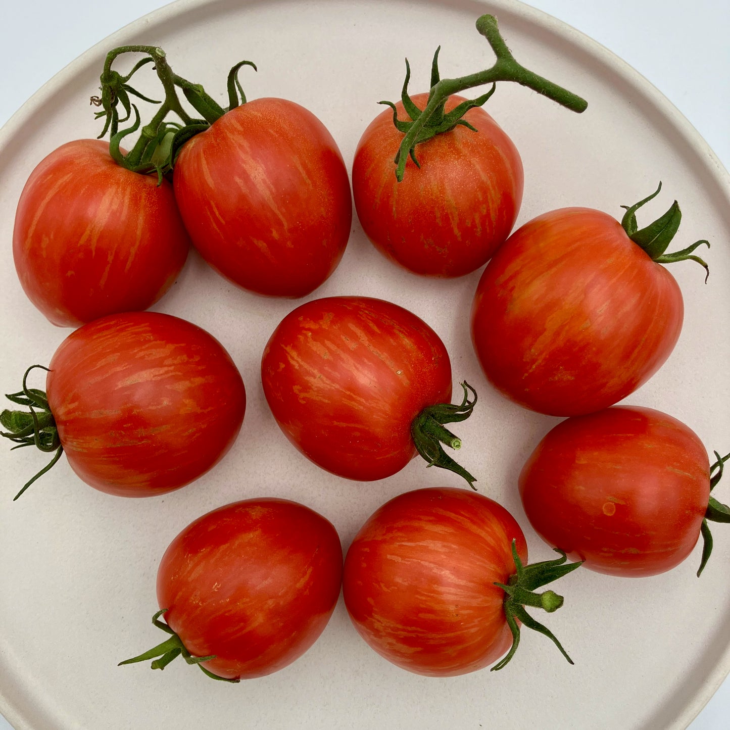 Tomato - Burton's-Baby Oxheart