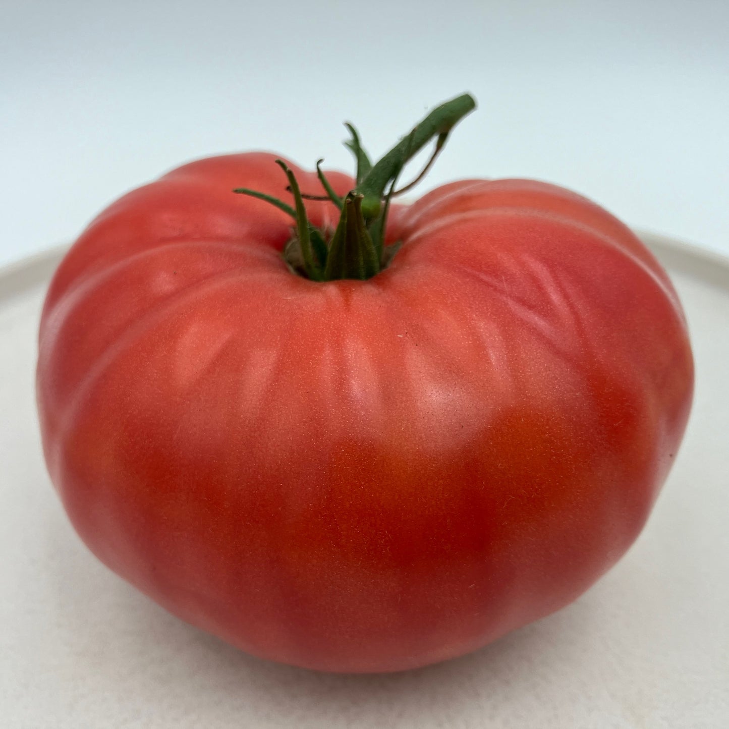 Tomato - Dester