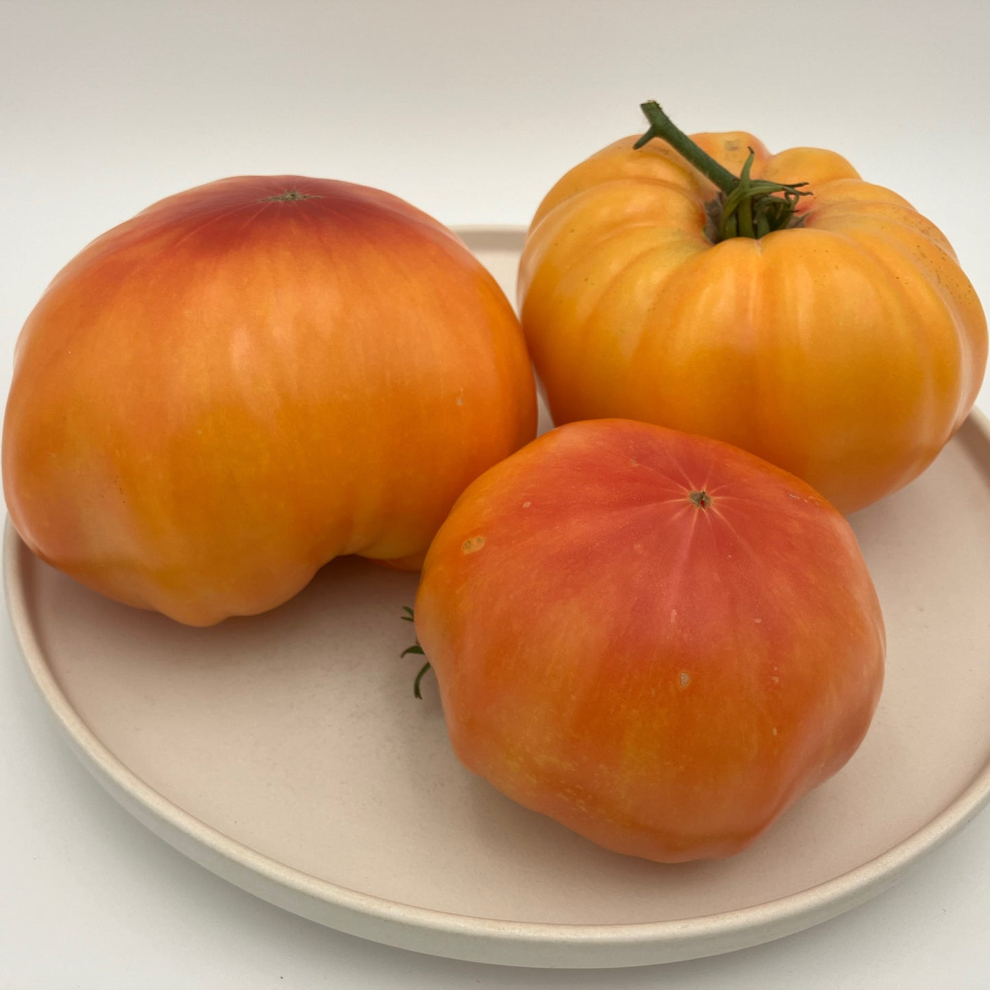 Tomato - Mr.Stripey