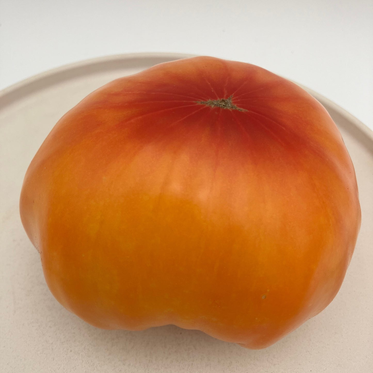 Tomato - Mr.Stripey