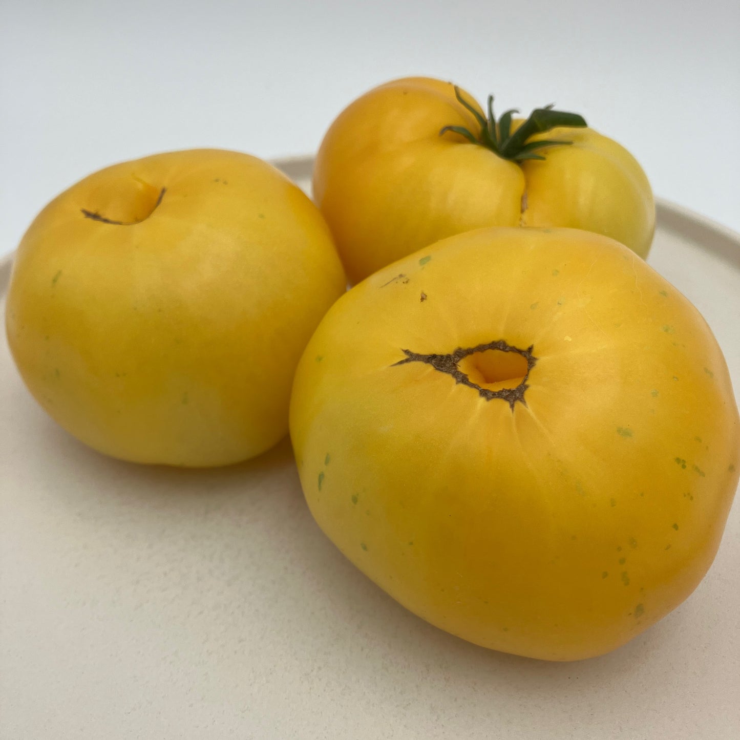Tomato - Pork Chop