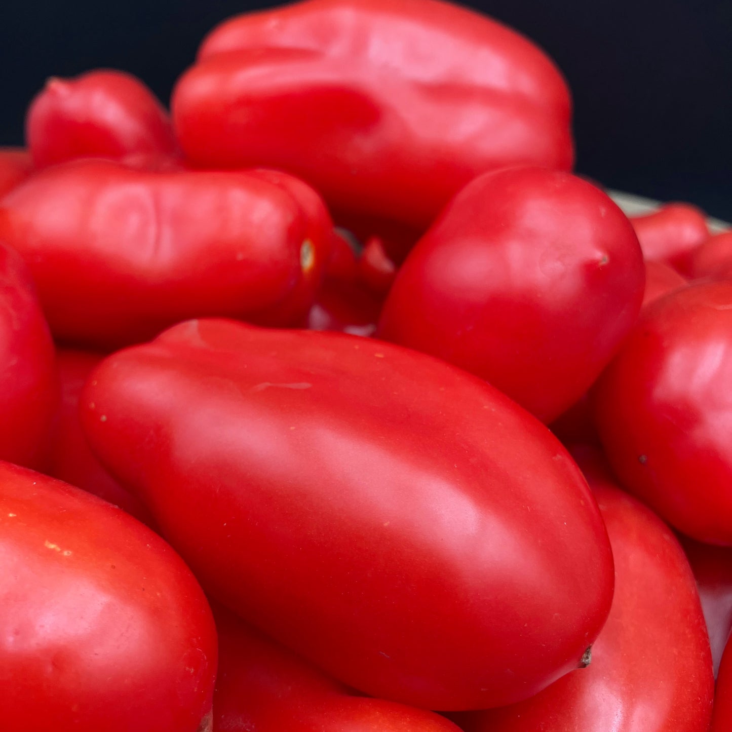 Tomato - San Marzano