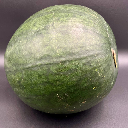Watermelon - Blacktail Mountain