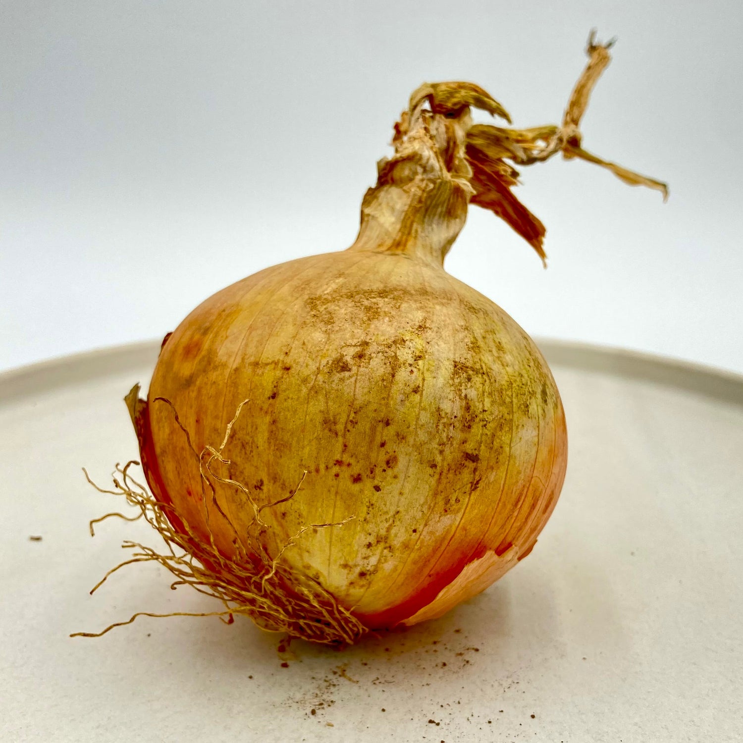 Farm Favorite Vegetables