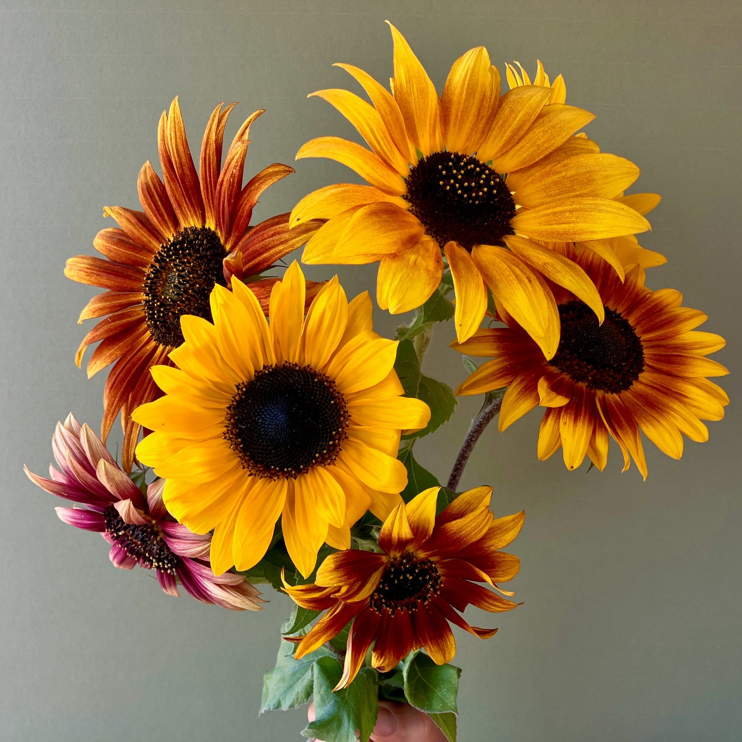 Wholesale Flowers