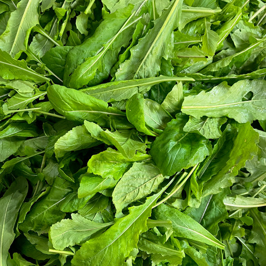 Arugula - Astro