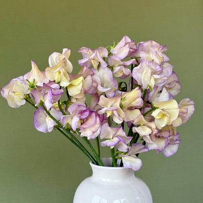 Cut Flowers Gift Box