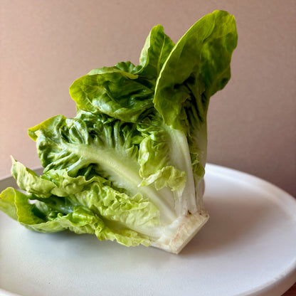 Lettuce Gift Box