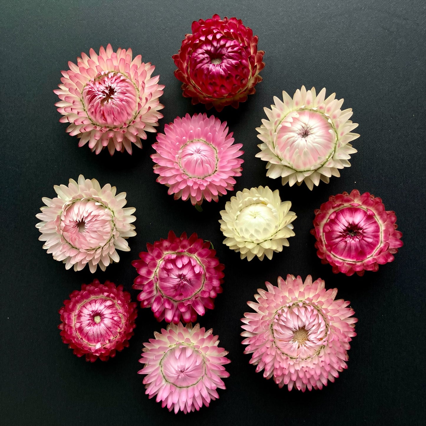 Dry Flowers Gift Box