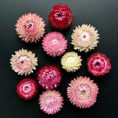 Dry Flowers Gift Box