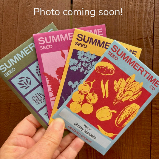 Melon - Petite Gris de Rennes