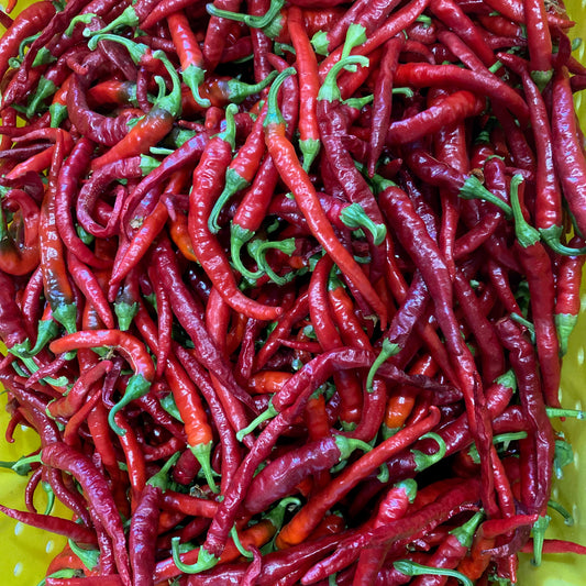 Pepper  - Cayenne Long Thin
