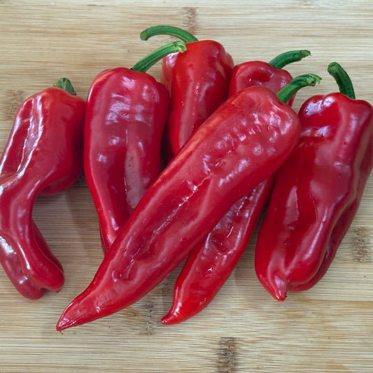 Pepper ⁃ Organic Seed - Tolli's Sweet Italian