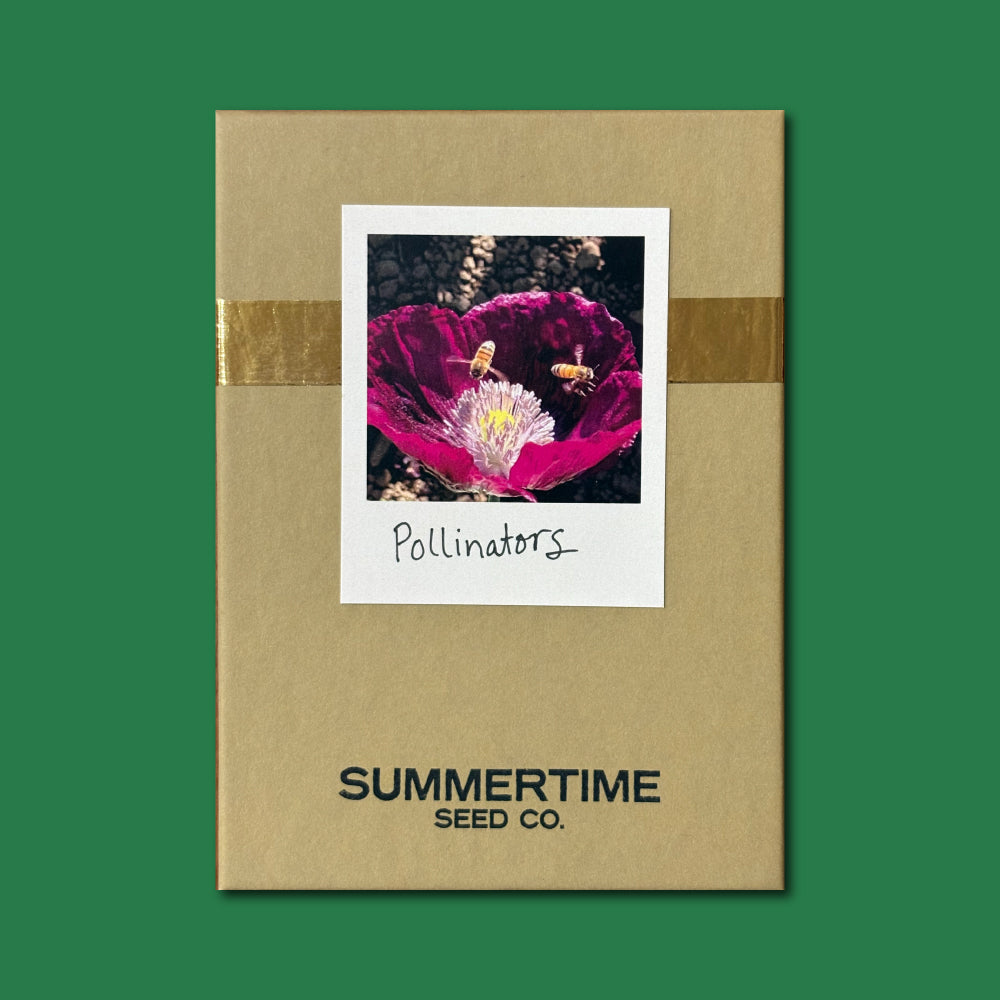 Pollinator Gift Box – Summertime Seed Co.