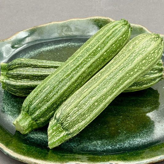 Squash, Summer - Costata Romanesco