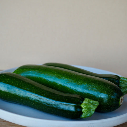 Squash, Summer - Dark Star