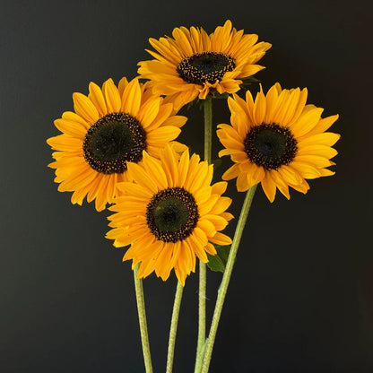 Easy Garden Flowers Gift Box