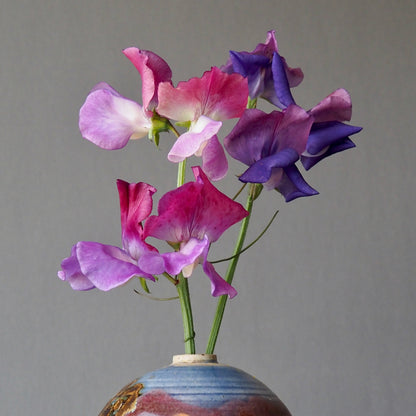 Sweet Pea - Enchanté