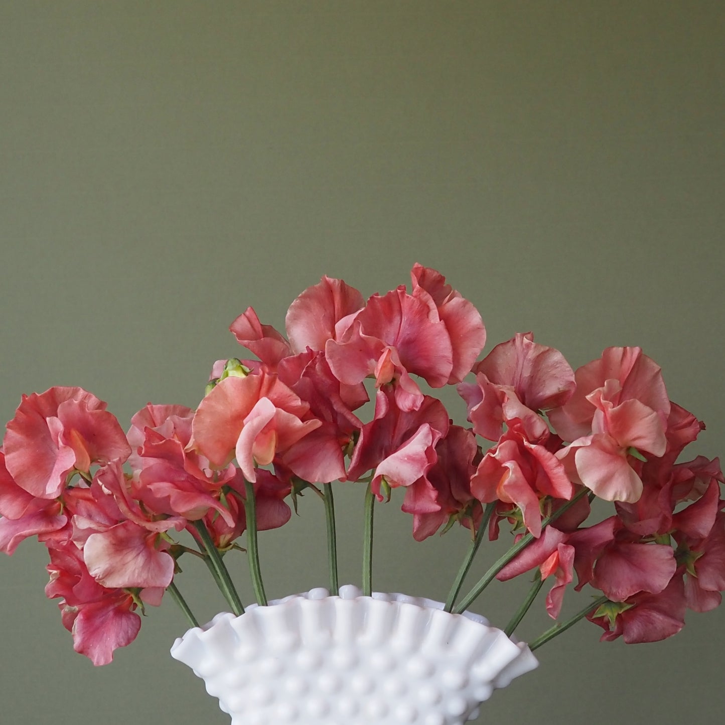 Sweet Pea - King’s Ransom