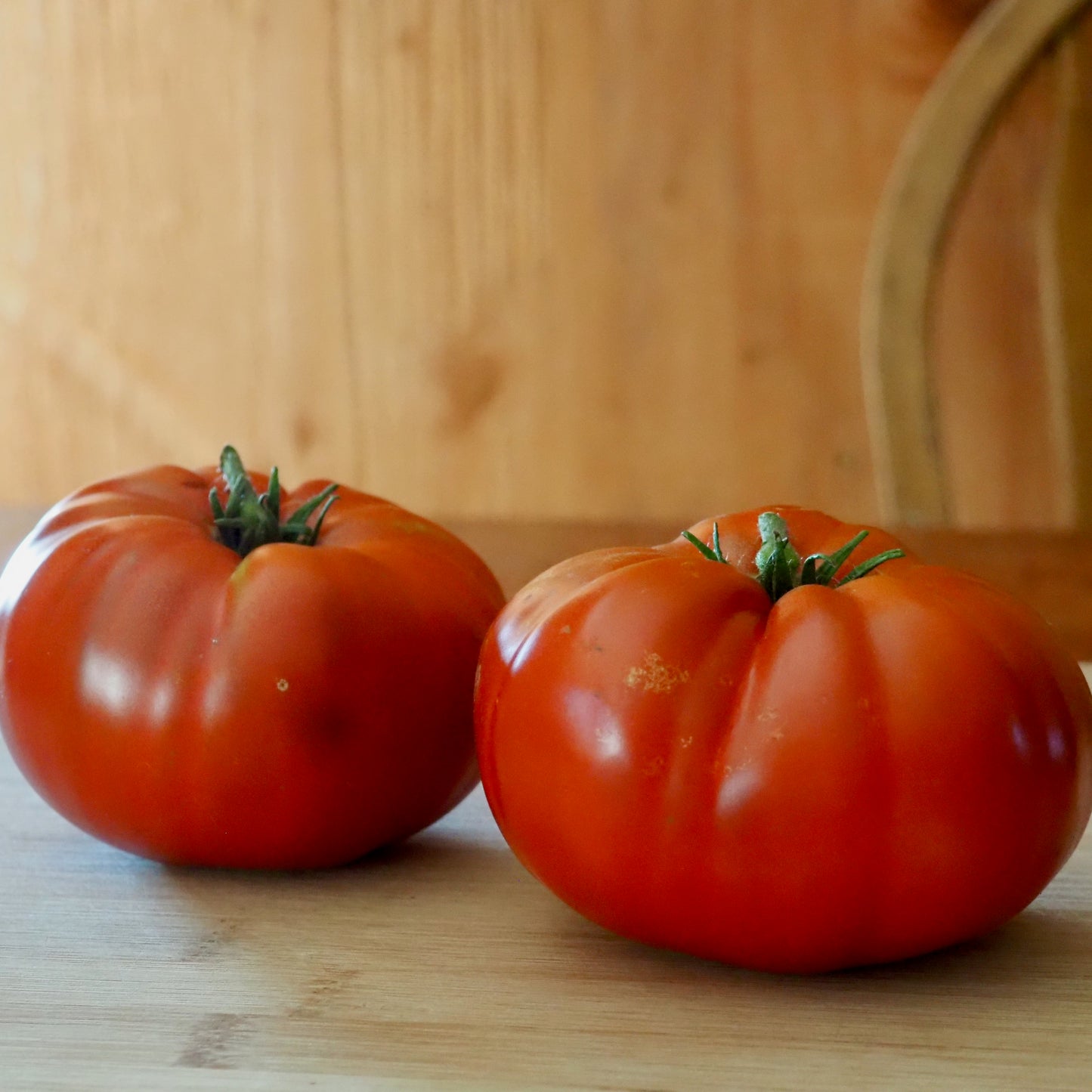 Tomato  - Tasmanian Chocolate
