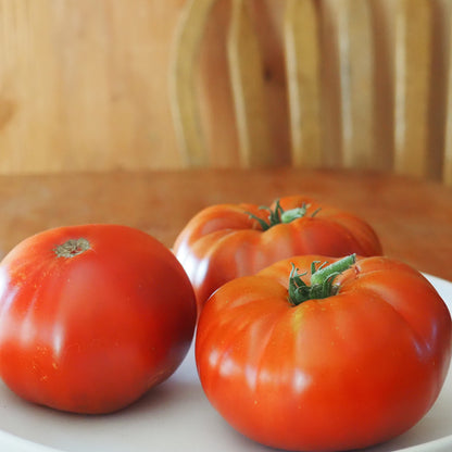 Tomato  - Tasmanian Chocolate
