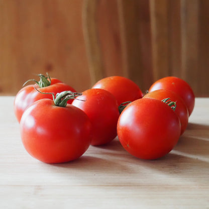 Tomato ⁃ Organic Seed - Wild Swede