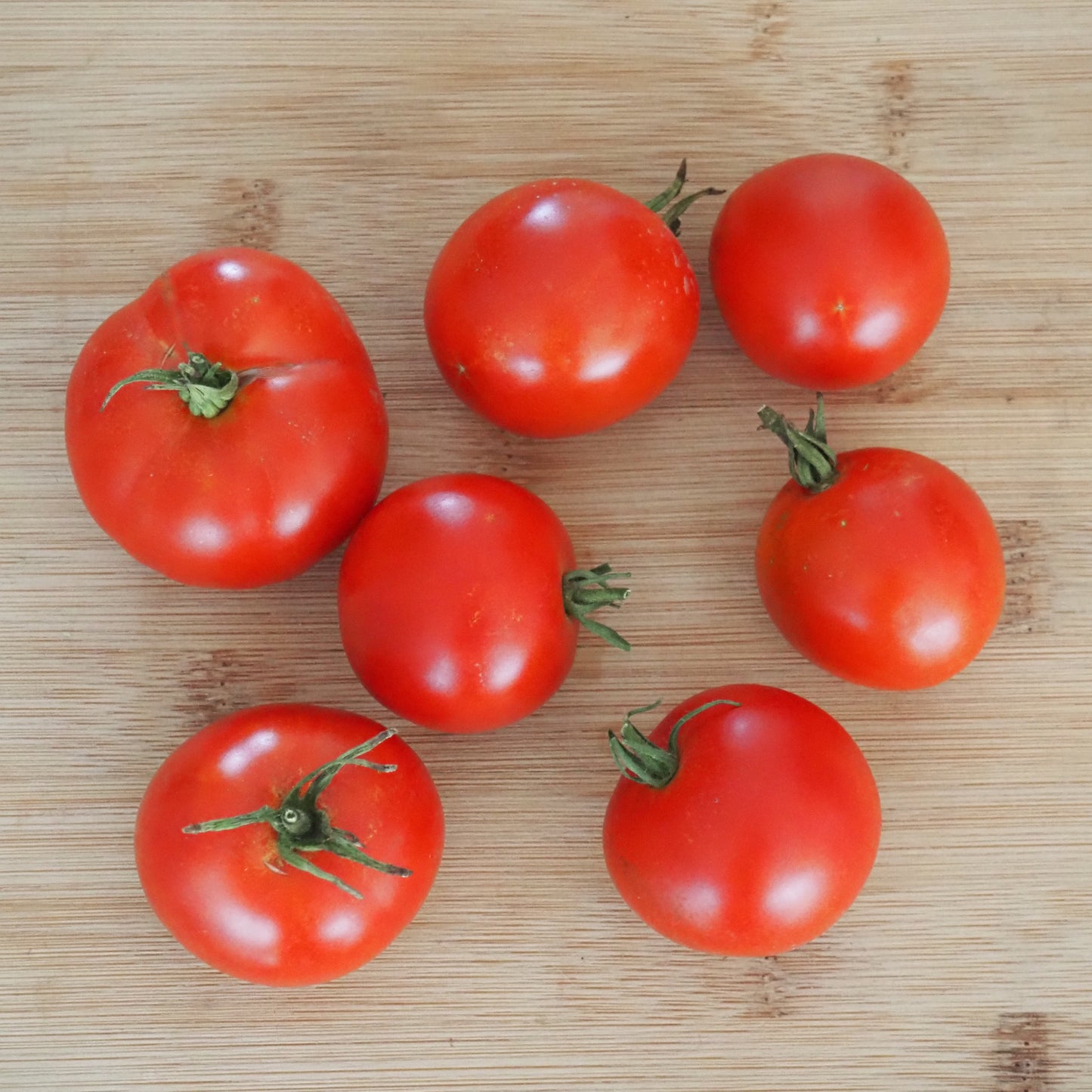 Tomato ⁃ Organic Seed - Wild Swede